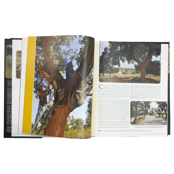 Photo of the interior of the House of Cork book by Henry Jelinek showing cork trees in Portugal during the harvest.